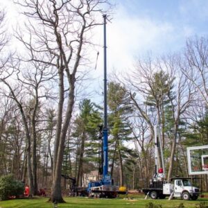 A crane and bucket truck set up in a MetroWest backyard for a large tree removal job.