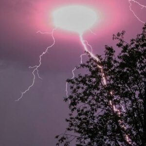 A bolt of lightning traveling behind a tree in Marlborough, MA.