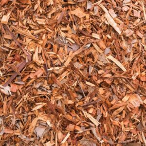 Fresh wood chips used as mulch on a Massachusetts property.