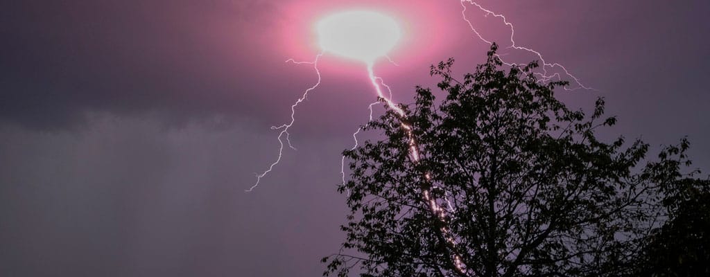 lightning hitting a tree