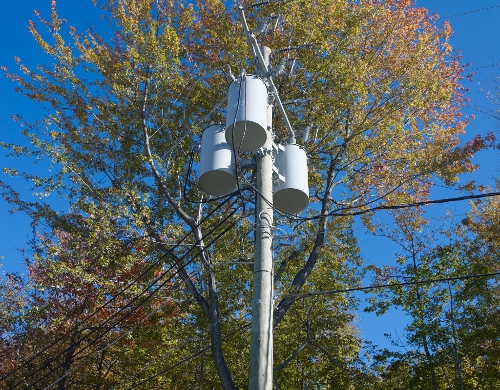 A deciduous tree with fall foliage behind a wooden utility pole with lines and wires.