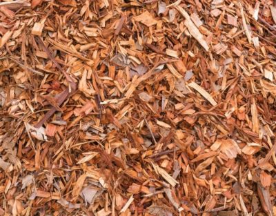 A close up of a layer of wood chips in a yard in marlborough, ma.