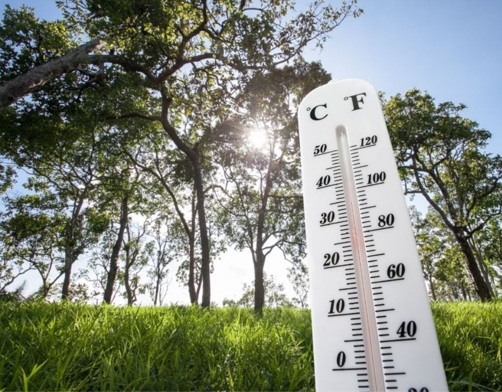 An outdoor thermometer shows high temperatures against a backdrop of green grass and deciduous trees.